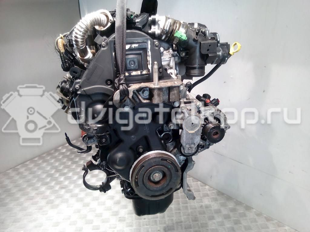 Фото Контрактный (б/у) двигатель G8DB для Ford Focus 109 л.с 16V 1.6 л Дизельное топливо {forloop.counter}}