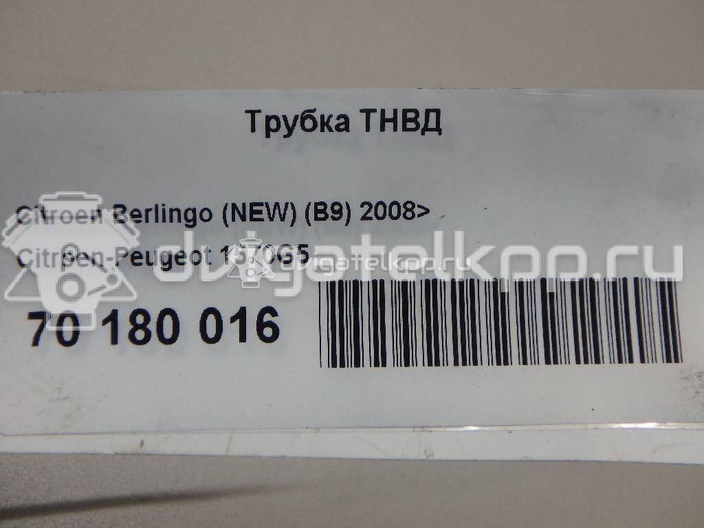 Фото Трубка ТНВД для двигателя 9HW (DV6BTED4) для Peugeot Partner 75 л.с 16V 1.6 л Дизельное топливо 1570G5 {forloop.counter}}