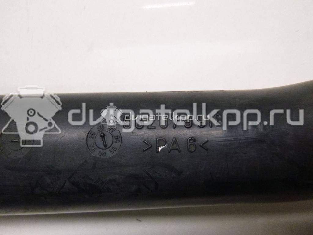 Фото Патрубок интеркулера для двигателя D8B (XUD9TE) для Peugeot Expert 92-94 л.с 8V 1.9 л Дизельное топливо 14248C {forloop.counter}}