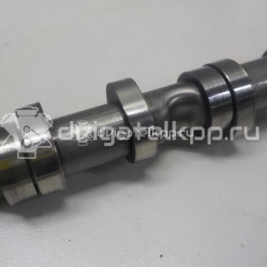 Фото Распредвал выпускной  03L109022D для Audi A4 / A6 / A3 / A5 / Tt