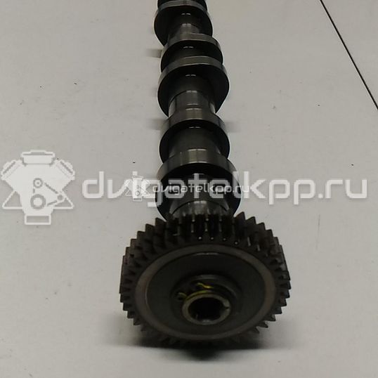 Фото Распредвал выпускной  059109009dj для audi A8 [4H]