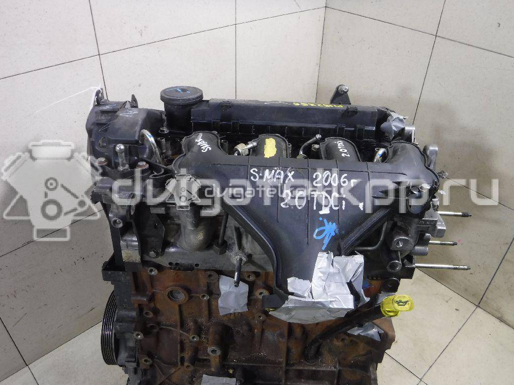 Фото Контрактный (б/у) двигатель G6DF для Ford / Hyundai / Kia 133 л.с 16V 2.0 л Дизельное топливо 1343078 {forloop.counter}}