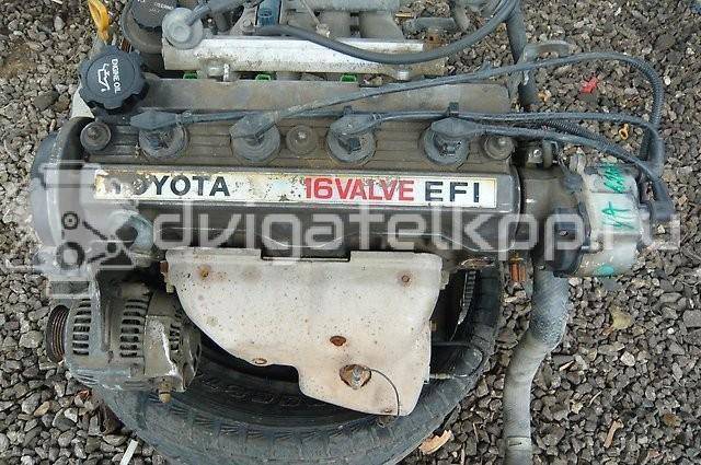 Фото Контрактный (б/у) двигатель 4A-FE для Toyota / Holden 90-185 л.с 16V 1.6 л бензин {forloop.counter}}