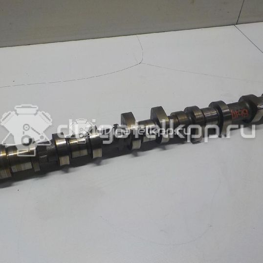 Фото Распредвал выпускной  0801z1 для Citroen C2 Jm / C4 / Xsara / Berlingo / C3