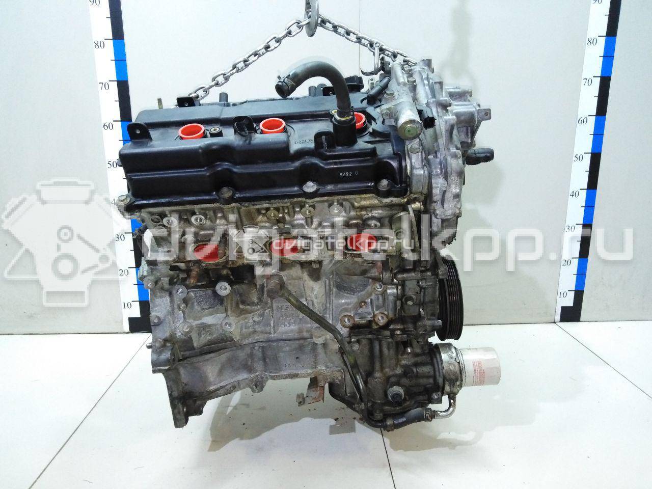 Фото Контрактный (б/у) двигатель VQ35DE для Infiniti / Mitsuoka / Isuzu / Nissan / Nissan (Dongfeng) 243-284 л.с 24V 3.5 л бензин 101029W2AF {forloop.counter}}