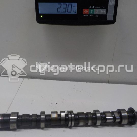 Фото Распредвал для двигателя G4HD для Hyundai Atos Mx / Getz Tb 58-67 л.с 12V 1.1 л бензин 2411002200