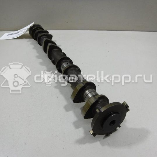 Фото Распредвал впускной для двигателя QR25DE для Nissan (Dongfeng) / Suzuki / Mitsuoka / Nissan 141-182 л.с 16V 2.5 л бензин 13020JA00A