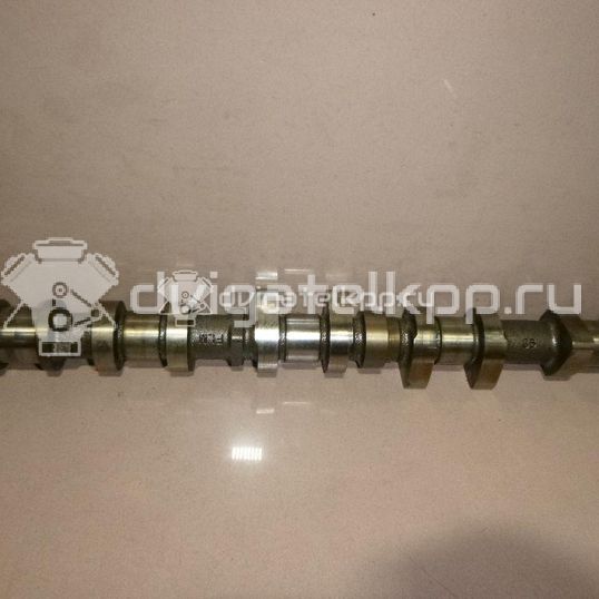 Фото Распредвал впускной для двигателя TU5JP4 для Nissan (Zhengzhou) / Peugeot (Df-Psa) 106 л.с 16V 1.6 л бензин 0801Z0