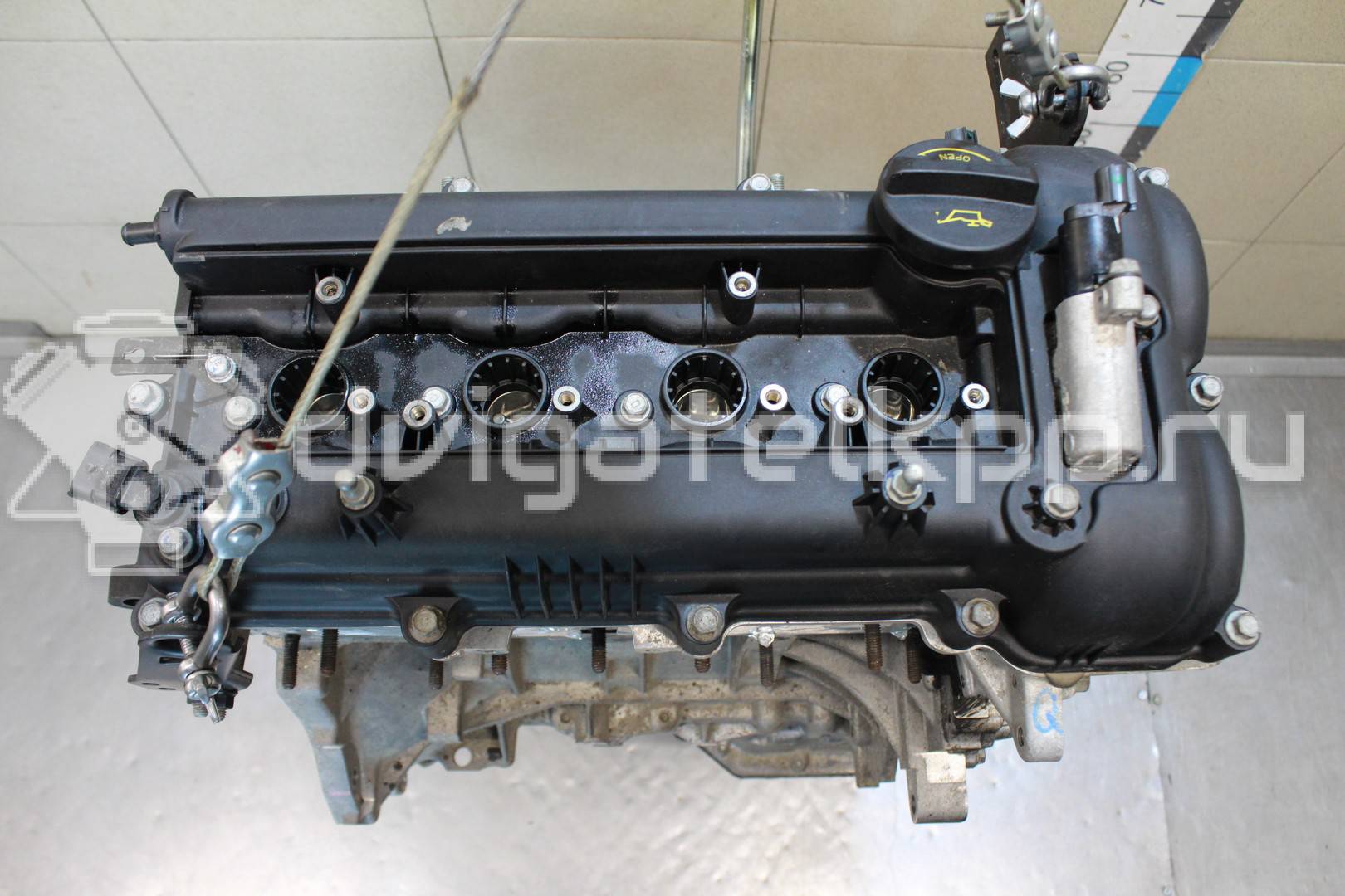 Фото Контрактный (б/у) двигатель G4FG для Hyundai / Kia 120-132 л.с 16V 1.6 л бензин Z71312BZ00 {forloop.counter}}