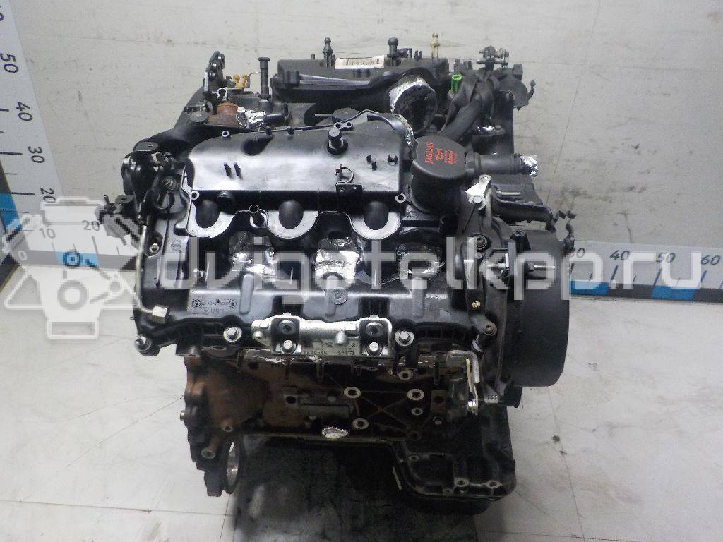 Фото Контрактный (б/у) двигатель 306DT для Jaguar / Land Rover 241-300 л.с 24V 3.0 л Дизельное топливо JDE7843 {forloop.counter}}