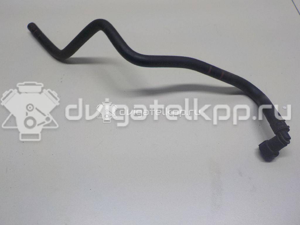 Фото Шланг топливный для двигателя BTS для Volkswagen / Skoda / Seat 105 л.с 16V 1.6 л бензин 036133514E {forloop.counter}}