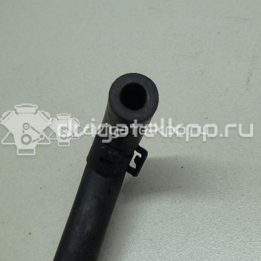 Фото Шланг топливный для двигателя BXW для Skoda / Seat 86 л.с 16V 1.4 л бензин 036133514H