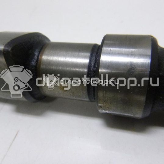 Фото Распредвал для двигателя AAM для Volkswagen Passat / Vento 1H2 / Golf 75 л.с 8V 1.8 л бензин 026109101M