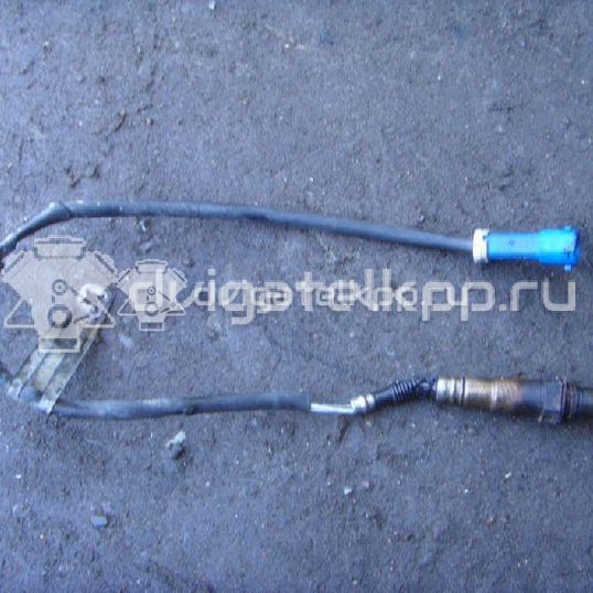 Фото Датчик кислородный/Lambdasonde  3M519G444AB для Ford Fiesta / Focus / Tourneo / Granada / Scorpio