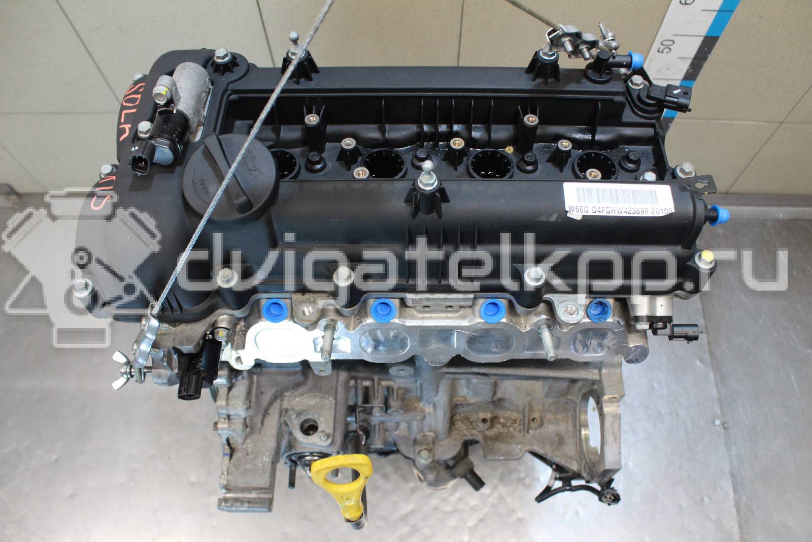 Фото Контрактный (б/у) двигатель G4FG для Hyundai / Kia 120-132 л.с 16V 1.6 л бензин wg1212bw00 {forloop.counter}}