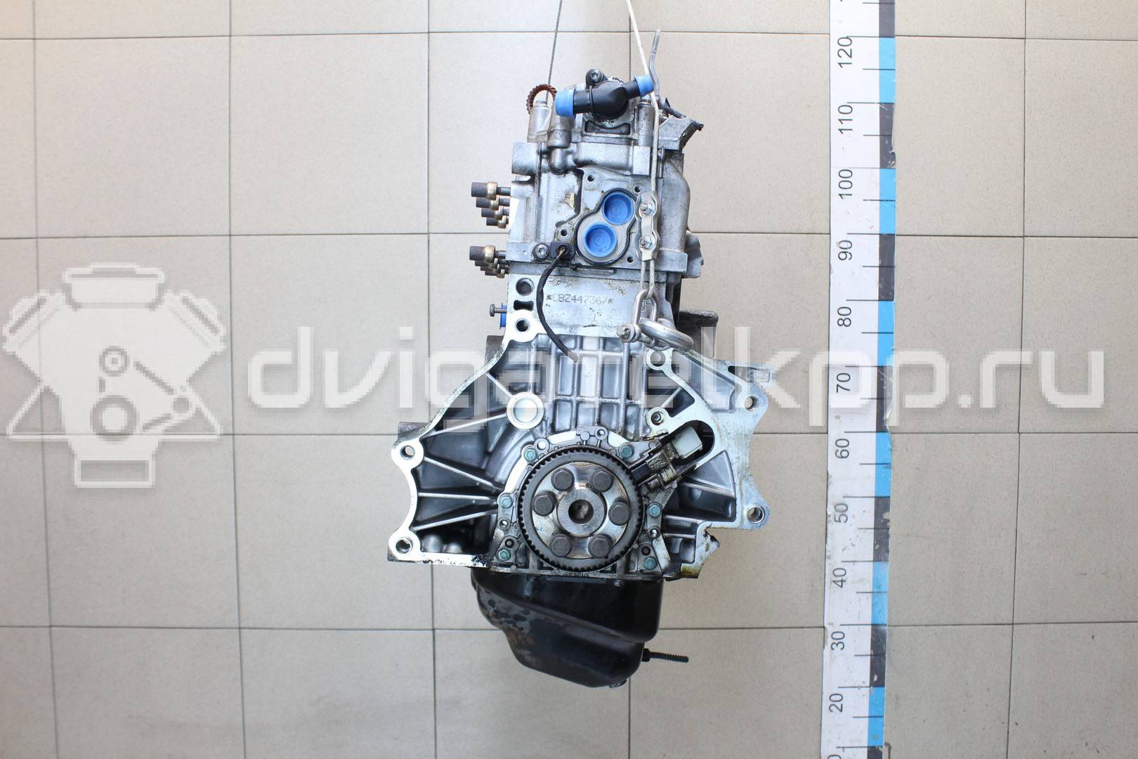 Фото Контрактный (б/у) двигатель CBZA для Volkswagen / Skoda / Seat 86 л.с 8V 1.2 л бензин 03F100031FX {forloop.counter}}