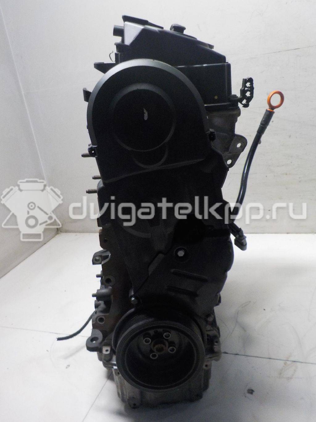 Фото Контрактный (б/у) двигатель BMM для Volkswagen Touran / Eos 1F7, 1F8 / Golf / Caddy / Jetta 140 л.с 8V 2.0 л Дизельное топливо 03G100098JX {forloop.counter}}