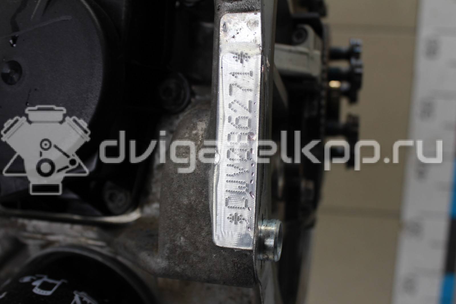 Фото Контрактный (б/у) двигатель CWVA для Volkswagen / Skoda / Seat 110 л.с 16V 1.6 л бензин 04E100037C {forloop.counter}}