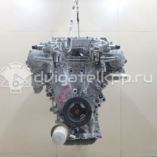 Фото Контрактный (б/у) двигатель VQ35DE для Infiniti / Mitsuoka / Isuzu / Nissan / Nissan (Dongfeng) 231-305 л.с 24V 3.5 л бензин 101025AA0A