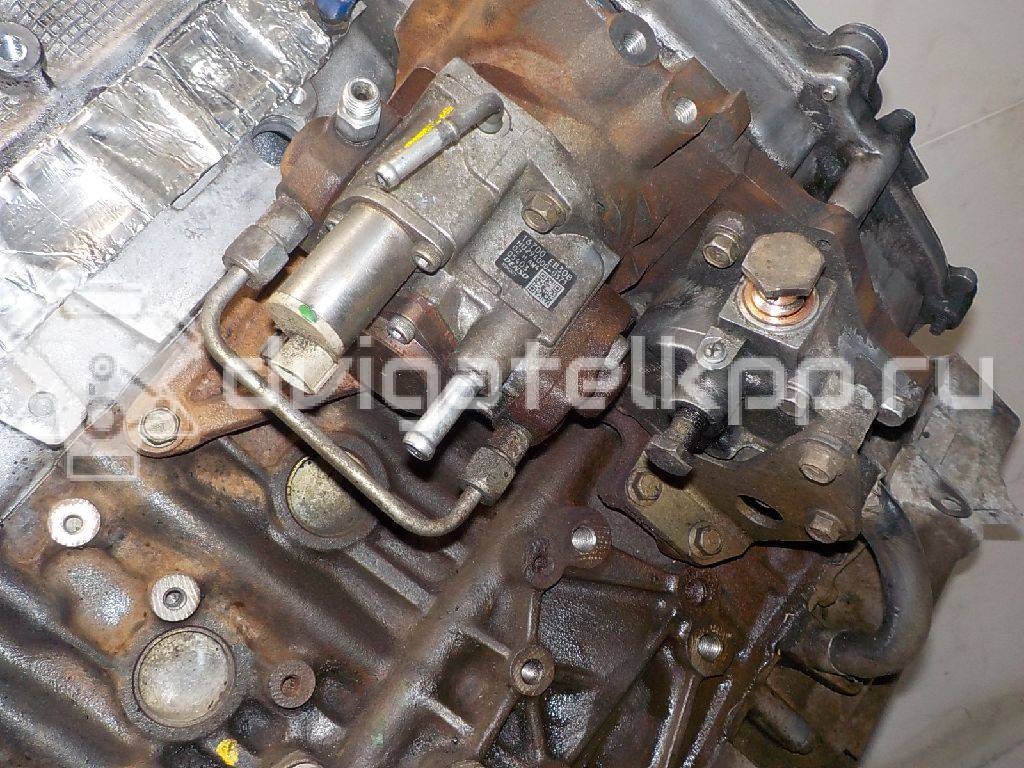 Фото Контрактный (б/у) двигатель YD25DDTi для Nissan Bassara / Nv350 E26 / Serena / Sani / Presage 100-190 л.с 16V 2.5 л Дизельное топливо 10102EB30A {forloop.counter}}