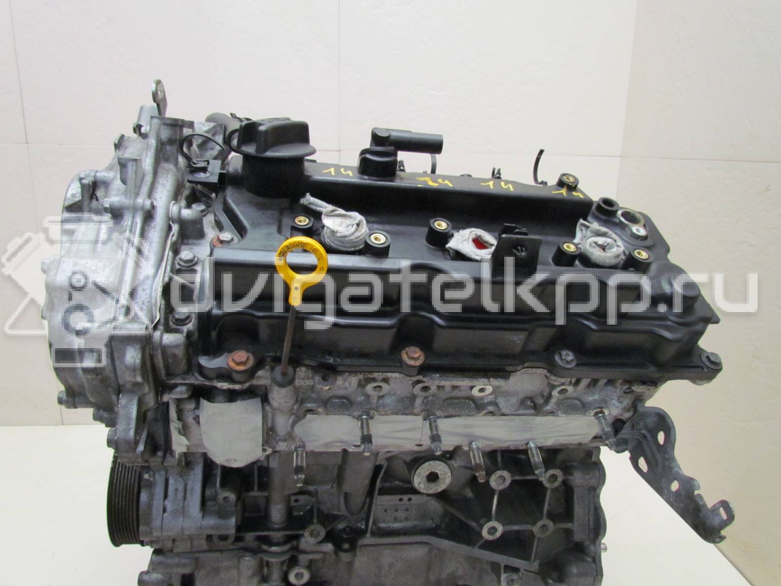 Фото Контрактный (б/у) двигатель VQ35DE для Infiniti / Mitsuoka / Isuzu / Nissan / Nissan (Dongfeng) 218-258 л.с 24V 3.5 л бензин 101023nt0a {forloop.counter}}