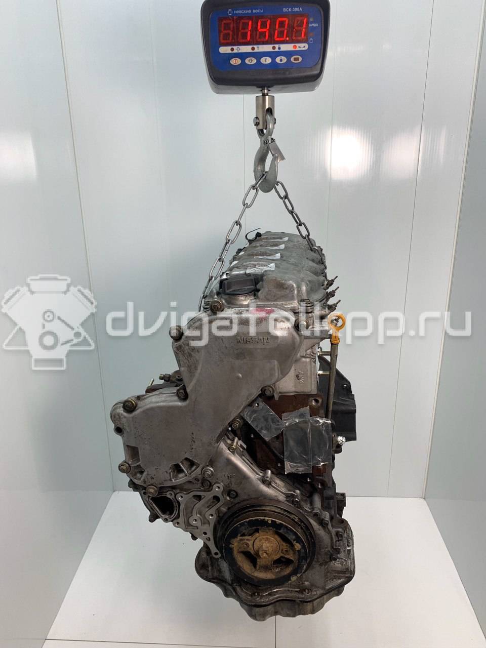 Фото Контрактный (б/у) двигатель YD22DDTi для Nissan X-Trail / Almera 114-150 л.с 16V 2.2 л Дизельное топливо 10102EQ4A0 {forloop.counter}}