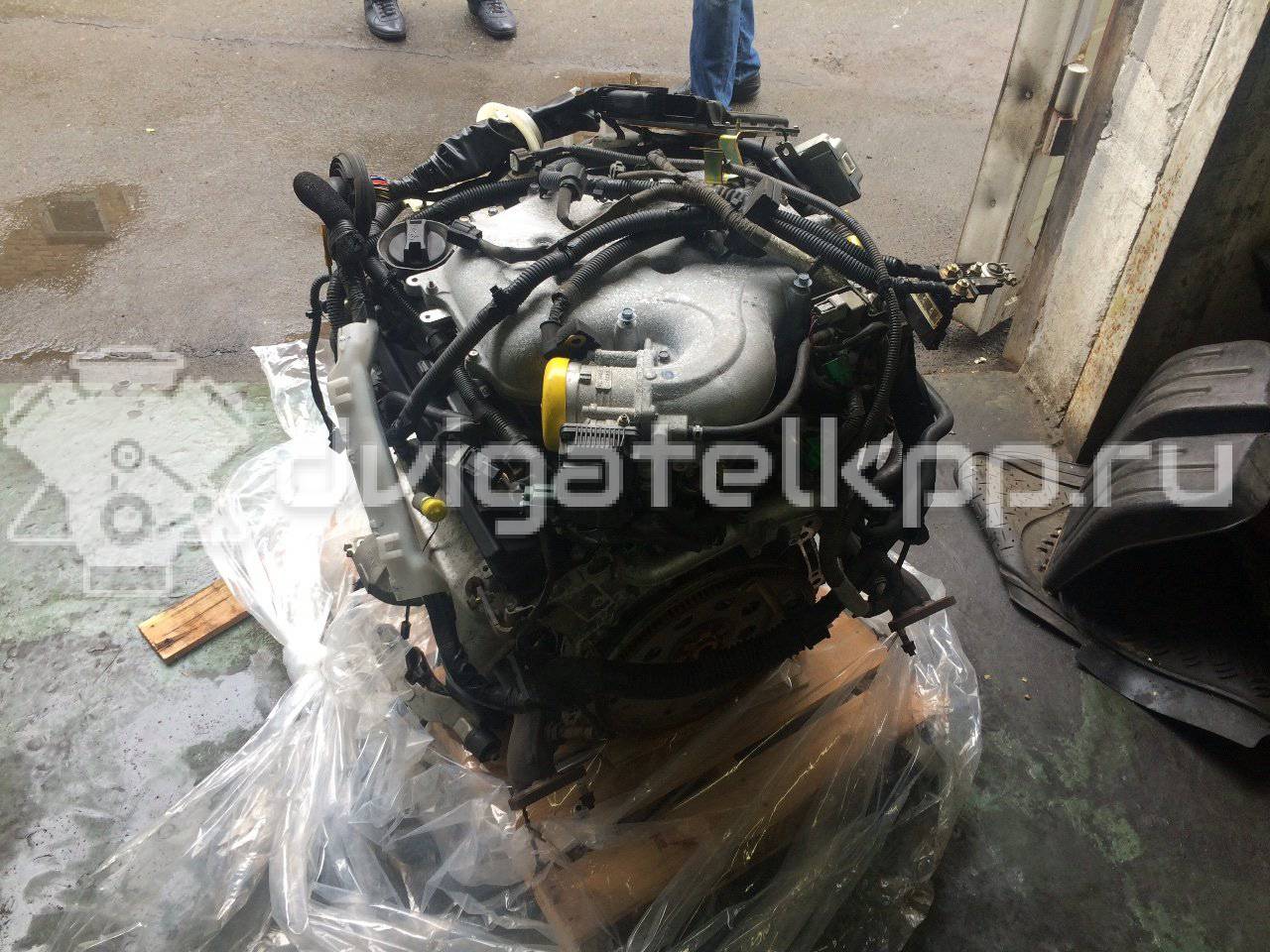 Фото Контрактный (б/у) двигатель VQ35DE для Infiniti / Mitsuoka / Isuzu / Nissan / Nissan (Dongfeng) 243-284 л.с 24V 3.5 л бензин {forloop.counter}}