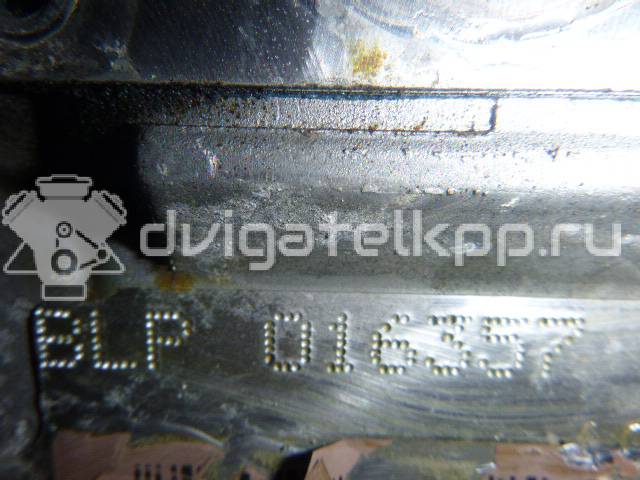 Фото Контрактный (б/у) двигатель BLF для Volkswagen Passat / Eos 1F7, 1F8 / Jetta / Golf 115 л.с 16V 1.6 л бензин 03C100035D {forloop.counter}}