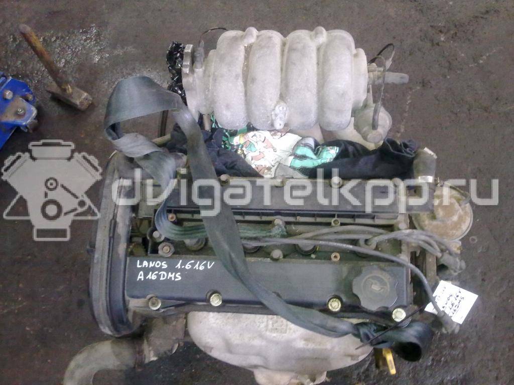 Фото Контрактный (б/у) двигатель A16DMS для Daewoo / Fso / Chevrolet 101-107 л.с 16V 1.6 л бензин {forloop.counter}}