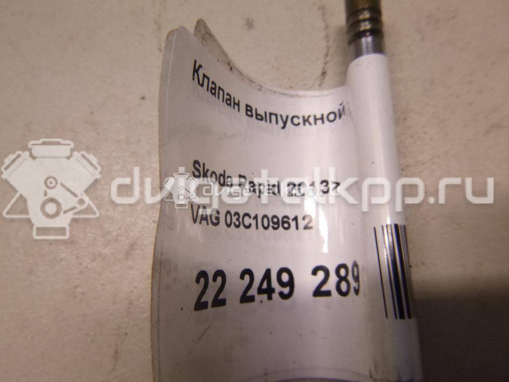 Фото Клапан выпускной  03C109612 для Seat Toledo {forloop.counter}}