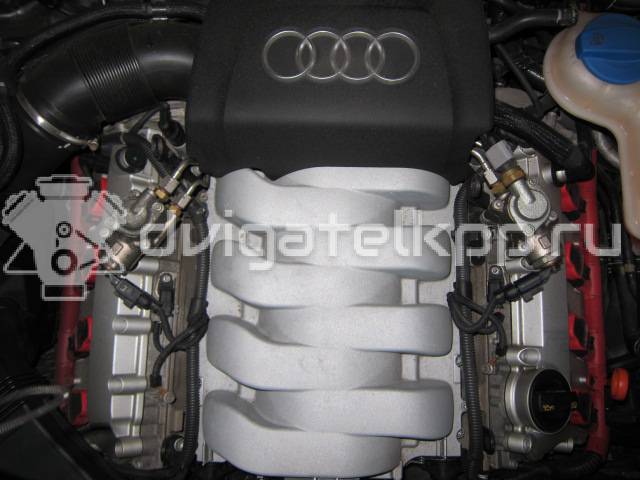 Фото Контрактный (б/у) двигатель BVJ для Audi A8 / A6 340-350 л.с 32V 4.2 л бензин {forloop.counter}}