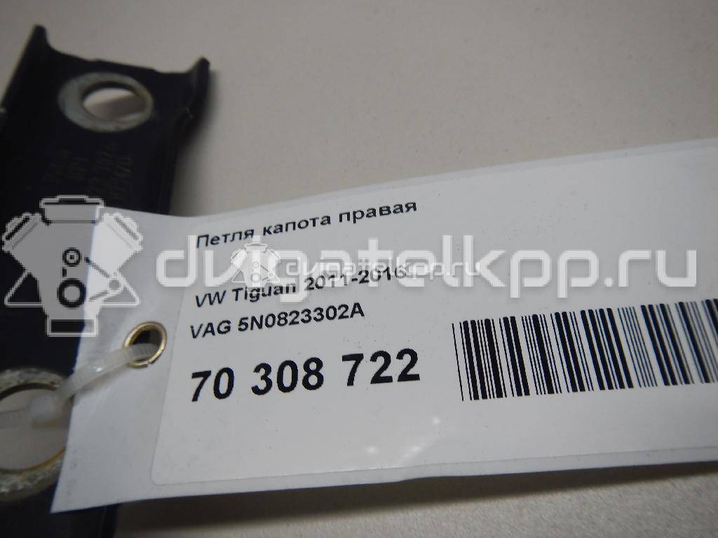 Фото Петля капота правая  5N0823302A для Volkswagen Tiguan {forloop.counter}}