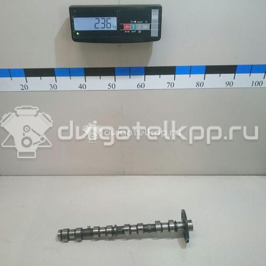 Фото Распредвал впускной для двигателя 2AD-FTV для Toyota Rav 4 / Corolla / Avensis 136-150 л.с 16V 2.2 л Дизельное топливо 135010R010