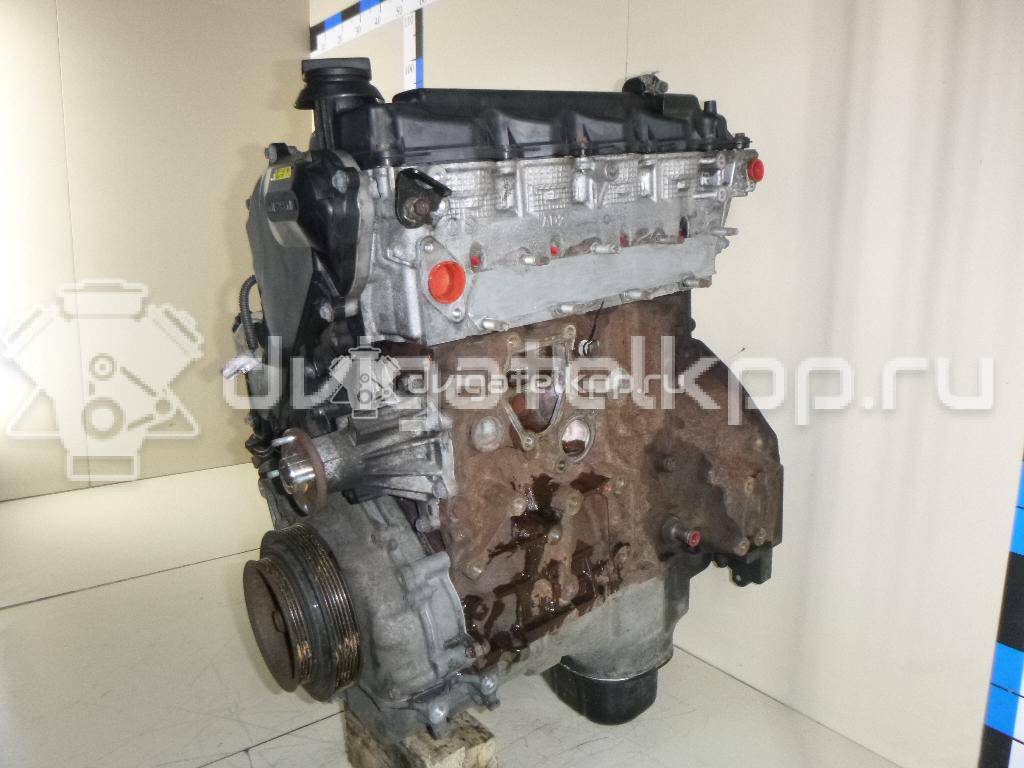 Фото Контрактный (б/у) двигатель YD25DDTi для Nissan Bassara / Nv350 E26 / Serena / Sani / Presage 100-190 л.с 16V 2.5 л Дизельное топливо 10102EC00A {forloop.counter}}