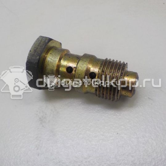 Фото Болт полый  4917040u00 для nissan Pathfinder (R51)