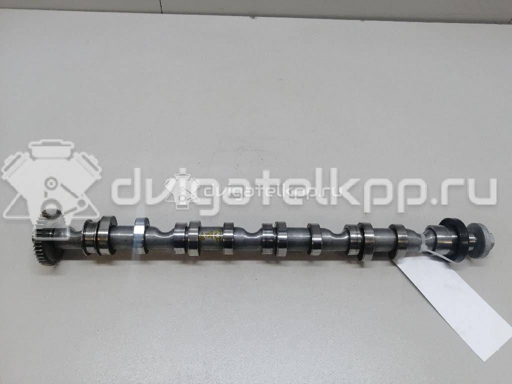 Фото Распредвал выпускной  03L109022D для Volkswagen Scirocco / Tiguan / Touran / Amarok S1B / Cc {forloop.counter}}