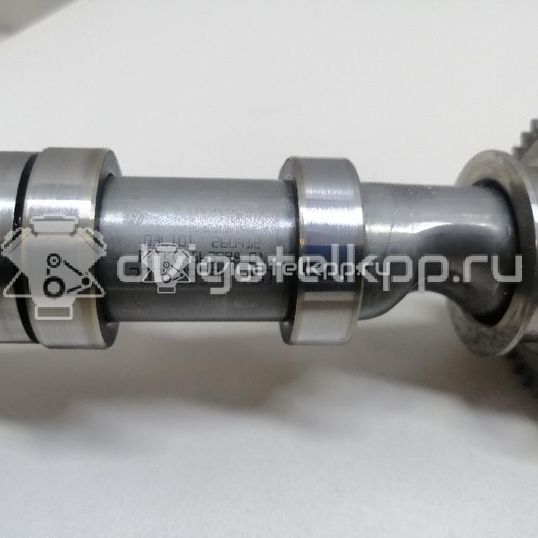 Фото Распредвал впускной  03l109021e для Volkswagen Scirocco / Tiguan / Touran / Amarok S1B / Cc