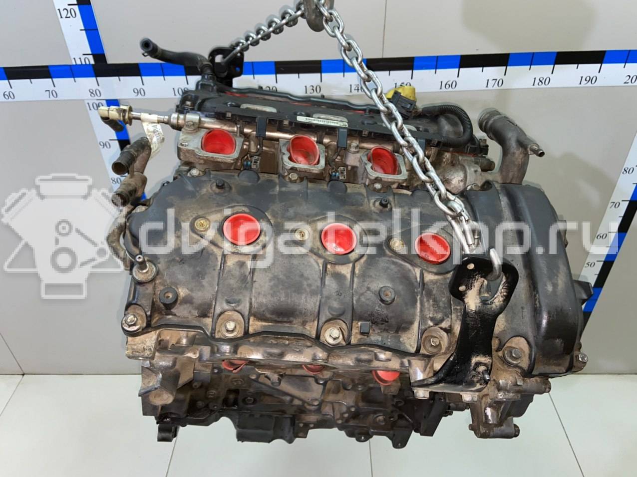 Фото Контрактный (б/у) двигатель Z 32 SE для Holden / Chevrolet / Vauxhall 211 л.с 24V 3.2 л бензин 92068609 {forloop.counter}}