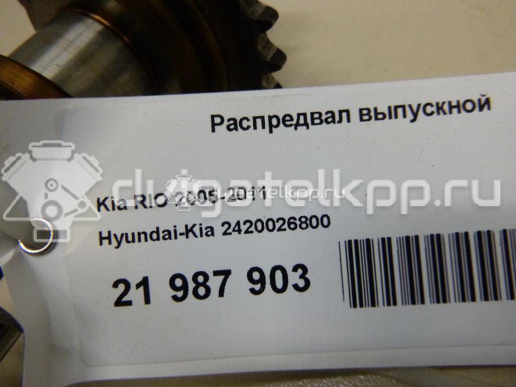 Фото Распредвал впускной  2410026800 для Hyundai Accent / Getz Tb {forloop.counter}}