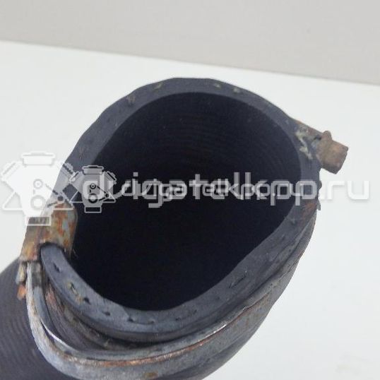 Фото Патрубок интеркулера  1827369 для Ford Focus / Kuga / C-Max / Grand