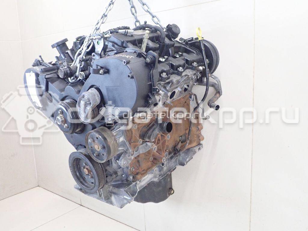 Фото Контрактный (б/у) двигатель 276DT для Ford Australia / Land Rover 190 л.с 24V 2.7 л Дизельное топливо LR004729 {forloop.counter}}