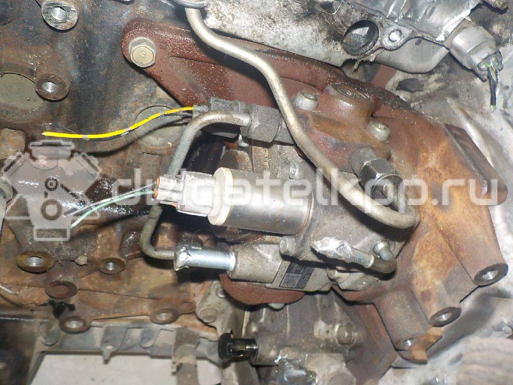 Фото Контрактный (б/у) двигатель YD25DDTi для Nissan Bassara / Nv350 E26 / Serena / Sani / Presage 100-190 л.с 16V 2.5 л Дизельное топливо 10102EB30A {forloop.counter}}