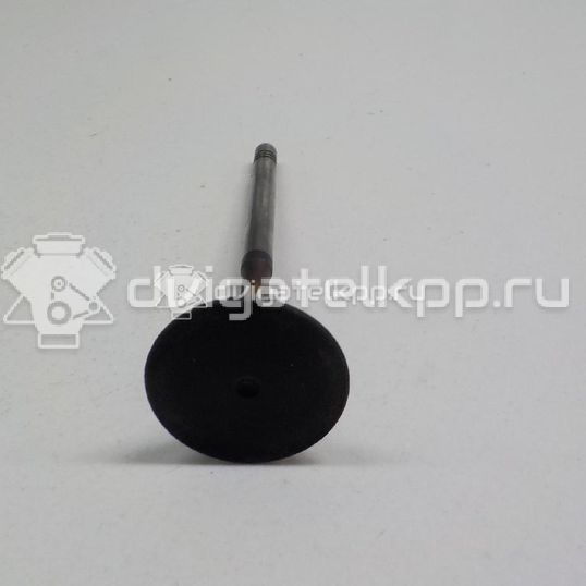 Фото Клапан впускной  036109601AL для Volkswagen Scirocco / Tiguan / Touran / New Beetle / Bora