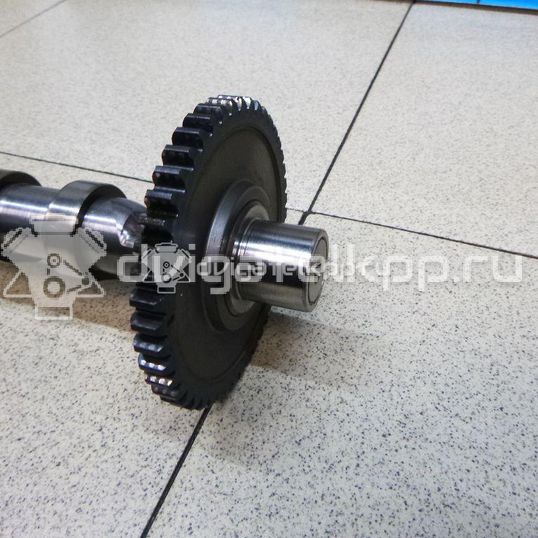 Фото Распредвал выпускной  06H109022BB для Volkswagen Scirocco / Tiguan / Jetta