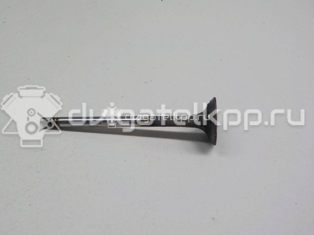 Фото Клапан выпускной  03C109611G для Volkswagen Scirocco / Tiguan / Touran / New Beetle / Bora {forloop.counter}}