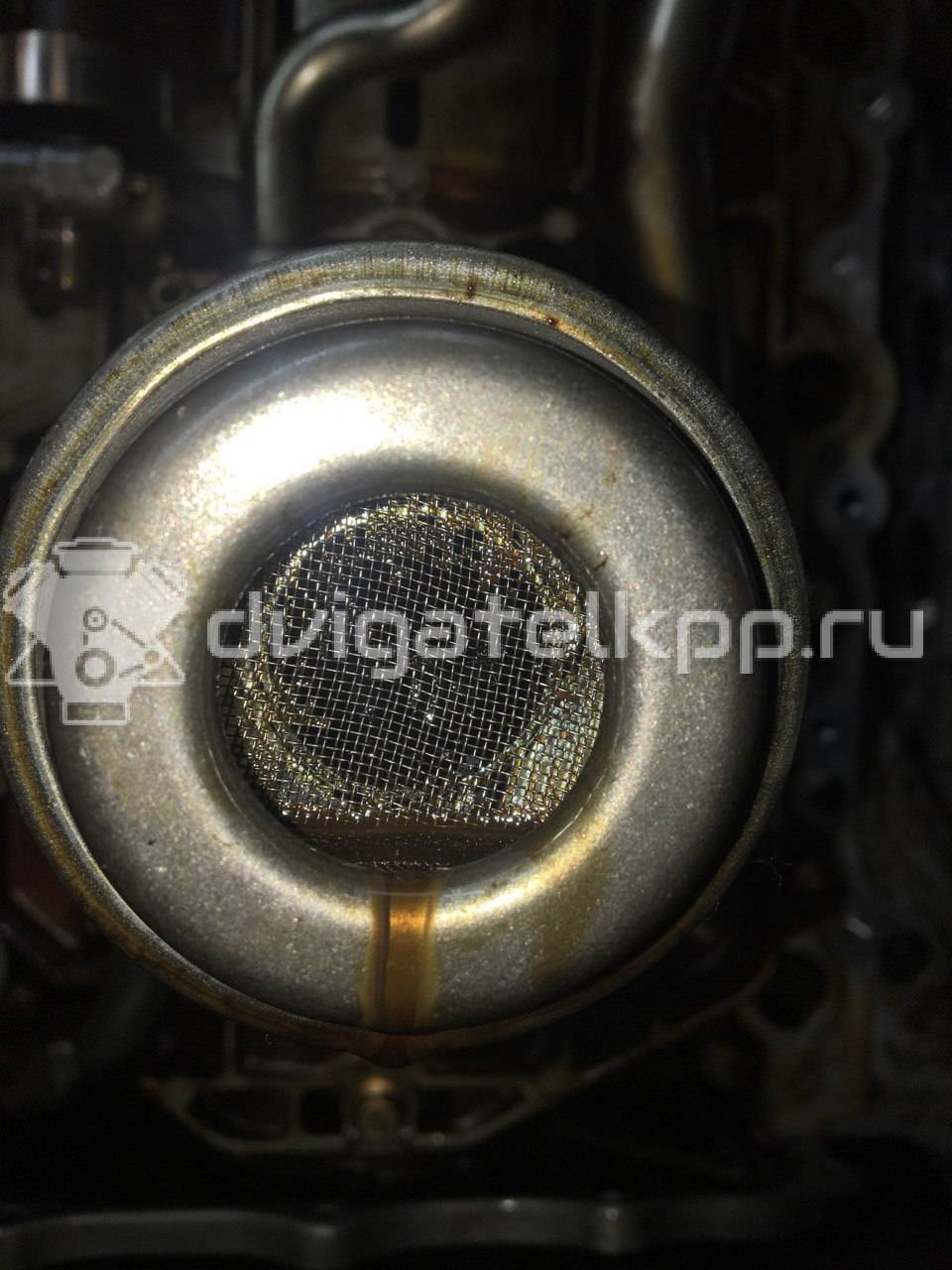 Фото Контрактный (б/у) двигатель 508PN для Jaguar / Land Rover 375-381 л.с 32V 5.0 л бензин LR011201 {forloop.counter}}