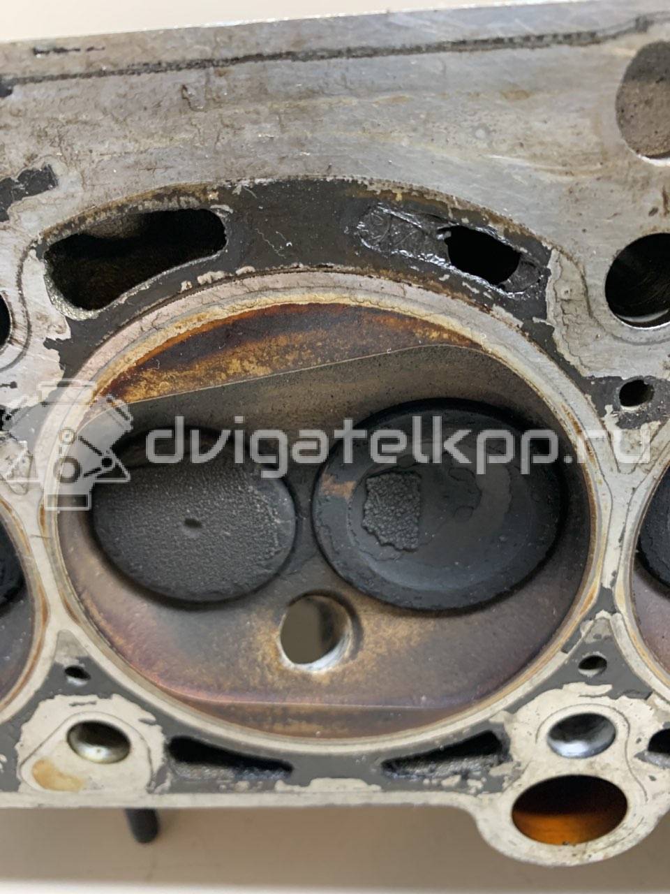 Фото Головка блока  06B103265EX для skoda Octavia (A4 1U-) {forloop.counter}}