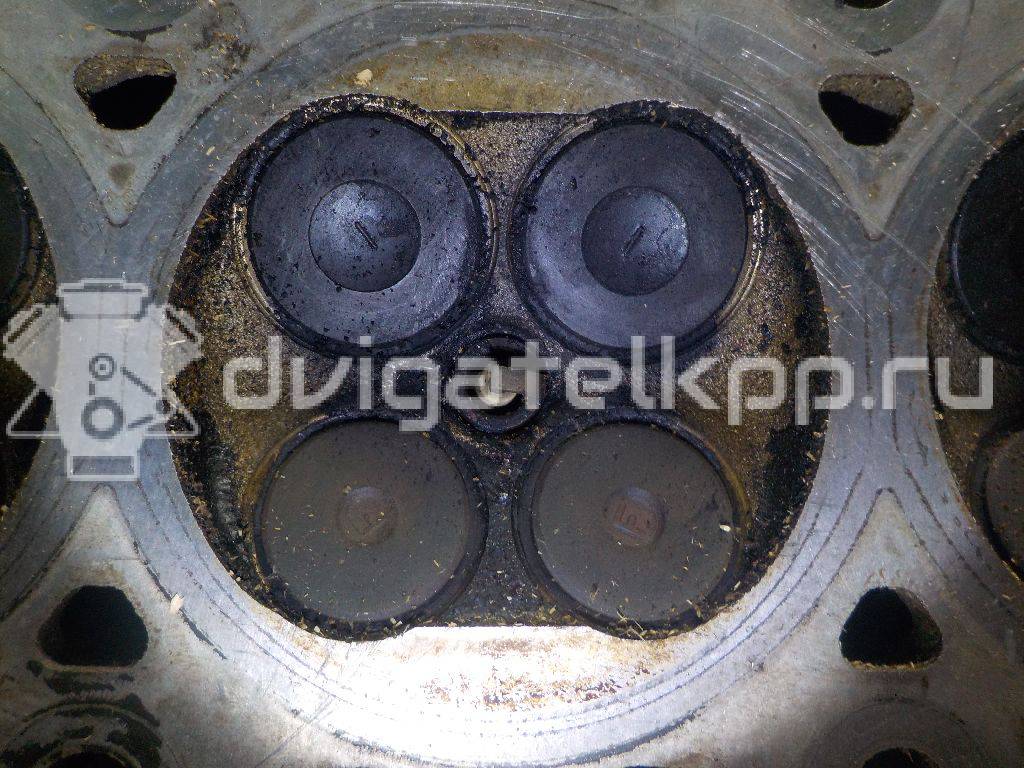 Фото Головка блока  1560511 для Mazda / Ford Australia / Eunos {forloop.counter}}