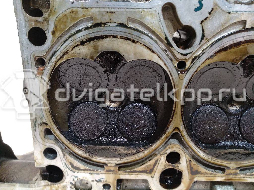 Фото Головка блока  06e103067aa для Audi A4 / A6 / A3 / A5 / Tt {forloop.counter}}