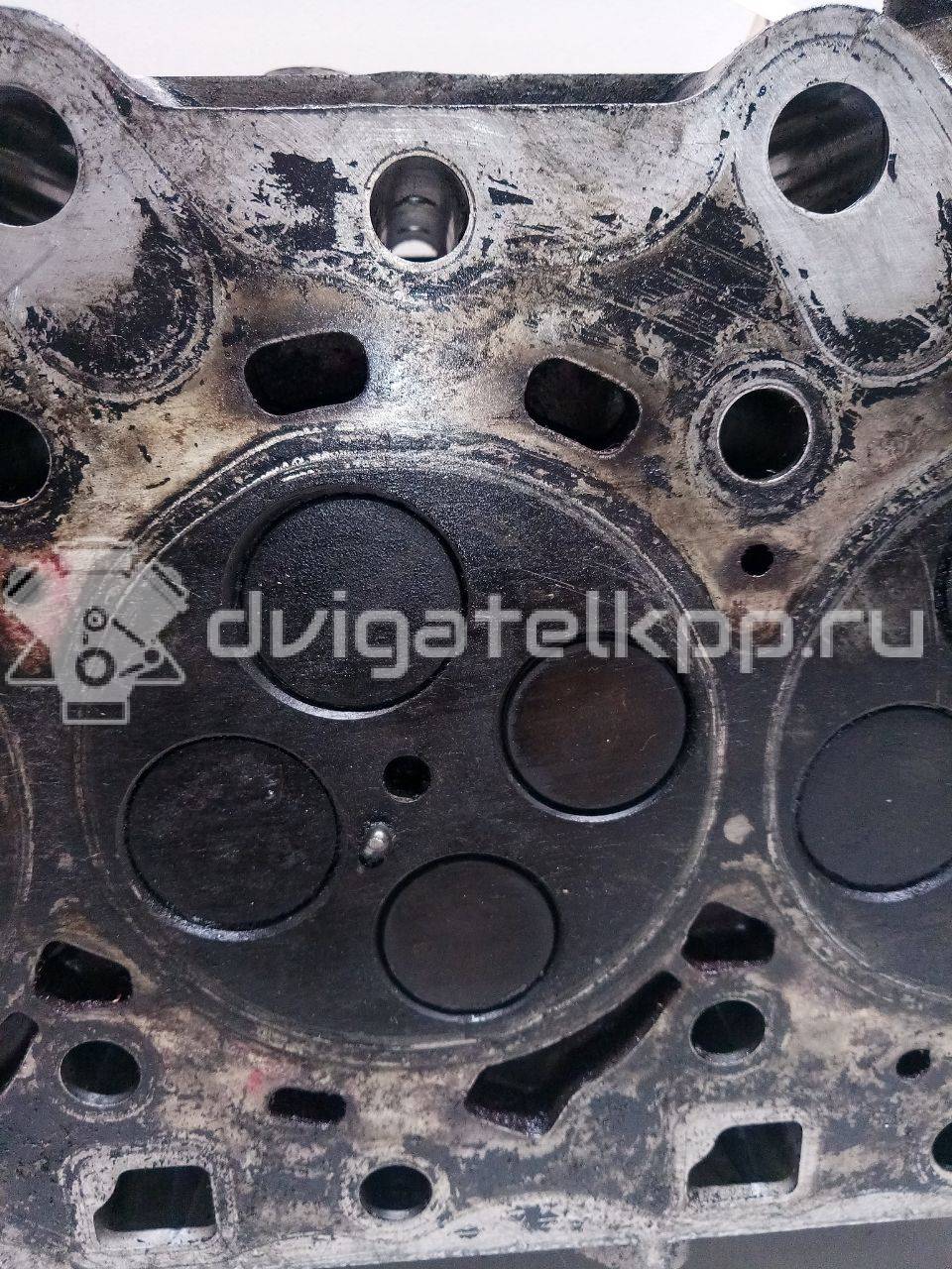 Фото Головка блока для двигателя D4CB для Hyundai / Kia 110-175 л.с 16V 2.5 л Дизельное топливо {forloop.counter}}